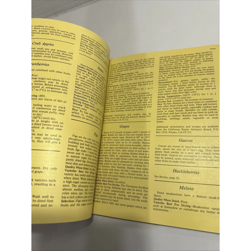 How To Dry Foods by Deanna DeLong (1979 First‎ Edition) Paperback